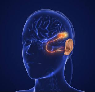 secciona Arquitectura UAA